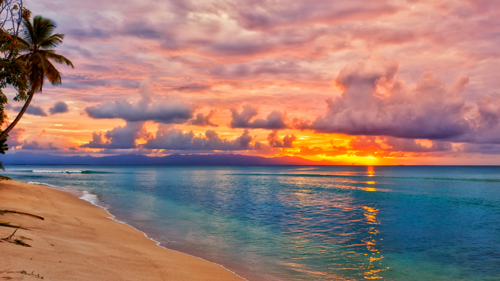 Catch the Renewal Vibe