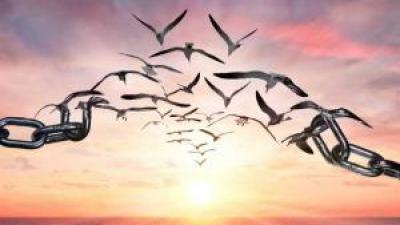 Understanding Spiritual Bypasssing