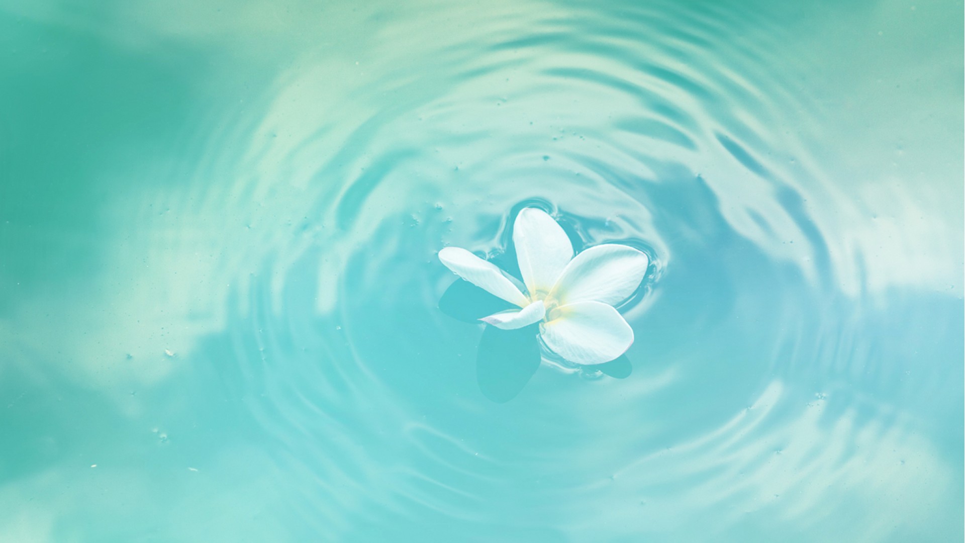 Lots of Resources For Prayer