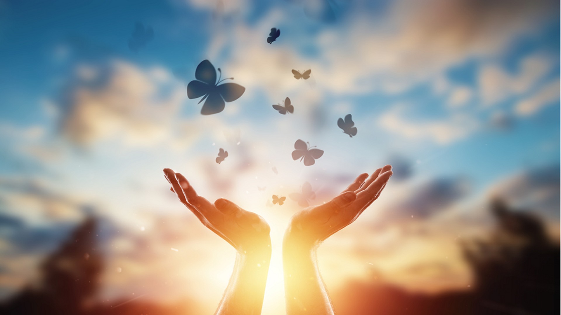 Forgiveness And A Sure Remedy