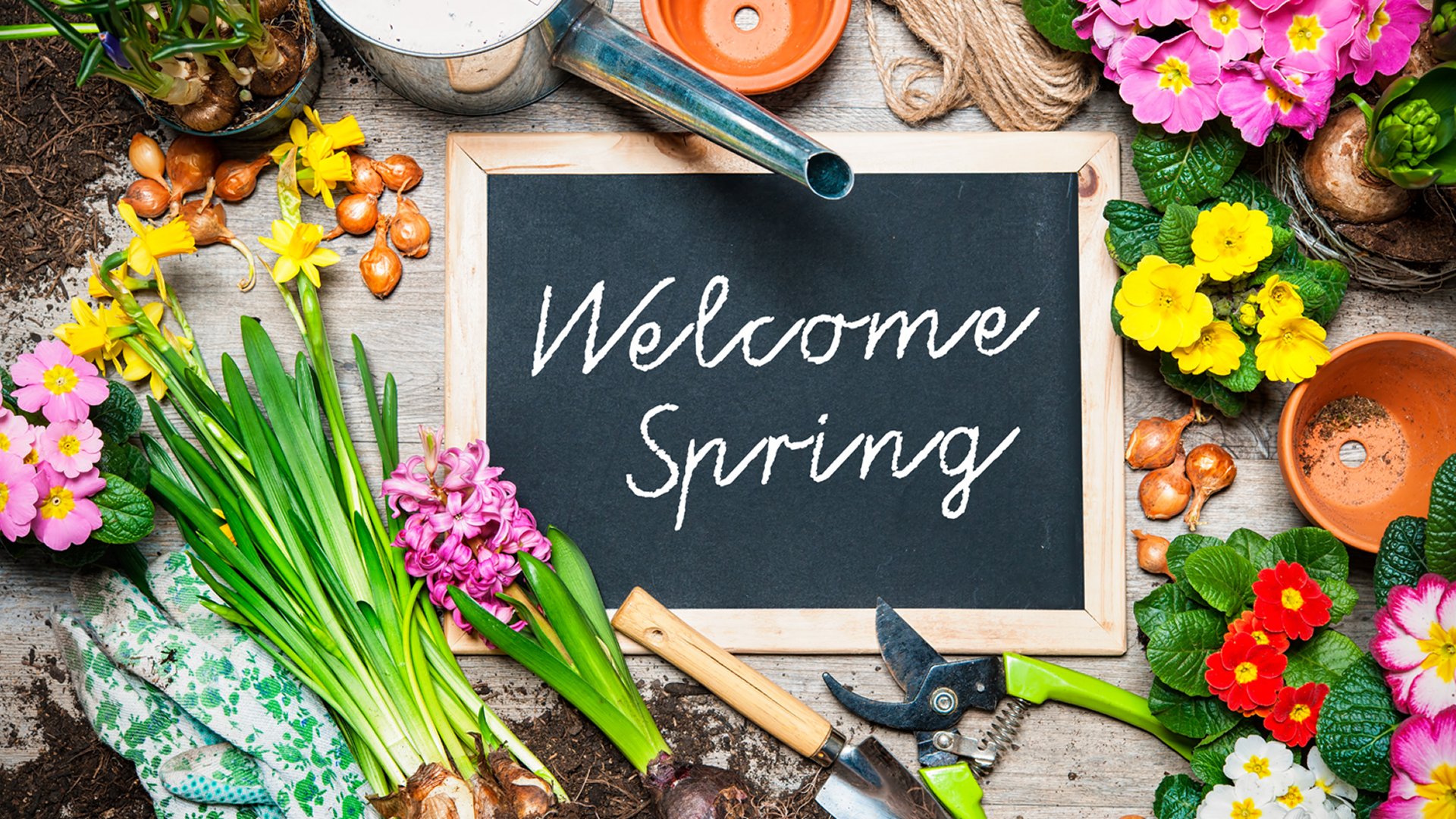 Welcome Spring