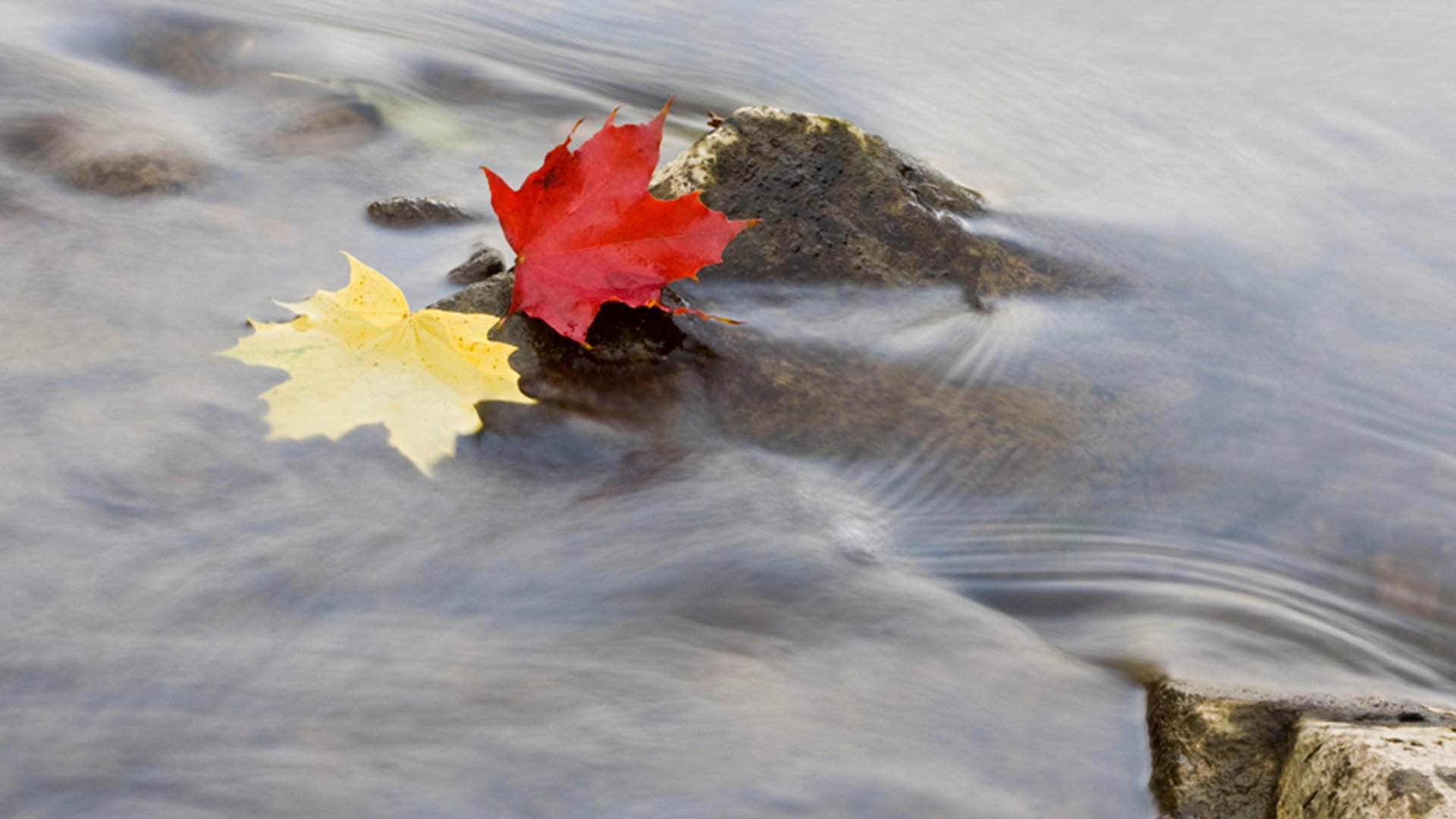 Prayer -- Acceptance &amp; Resistance