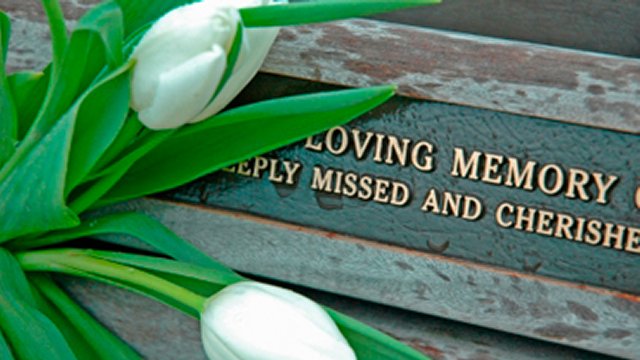 In Honor Of / In Memory Of