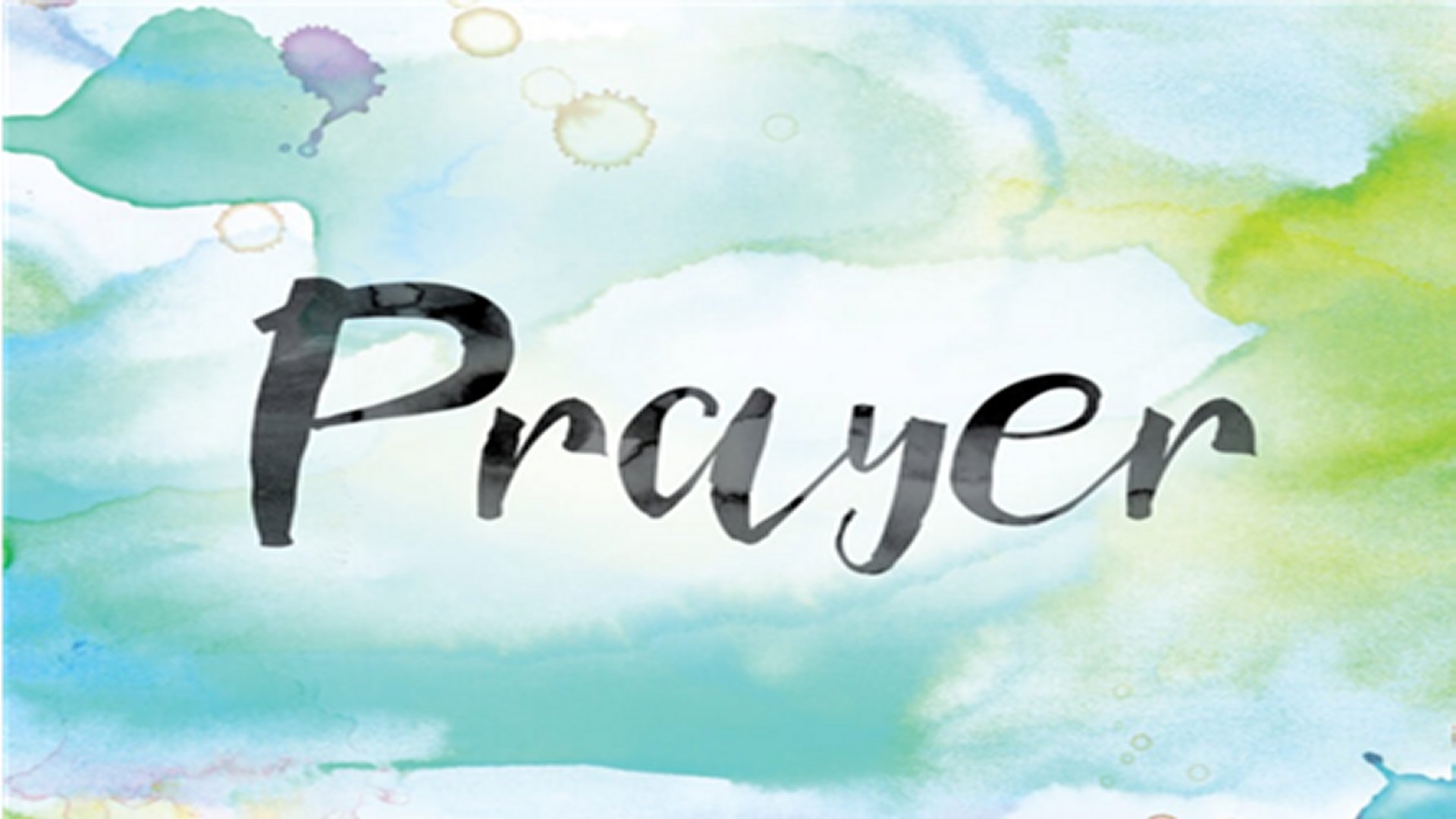 Appreciation and A Great Opportunity